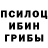 Галлюциногенные грибы GOLDEN TEACHER Bogdan CURULIUC