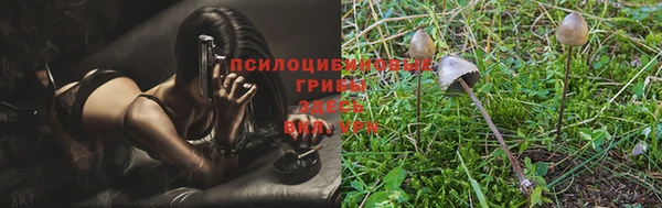 гашиш Арсеньев