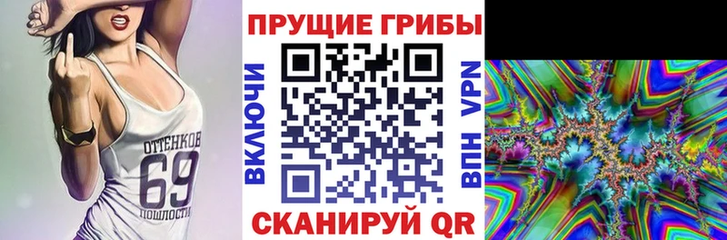 Псилоцибиновые грибы ЛСД  наркота  Новодвинск 