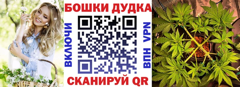 Конопля Ganja Новодвинск